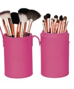 Mineral Makeup Brush Kit - Pink Case - Youngevity Spa and Beauty supplement product image.