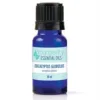 Eucalyptus Globulus Essential Oil - 10ml - Youngevity Essential Oils supplement product image.