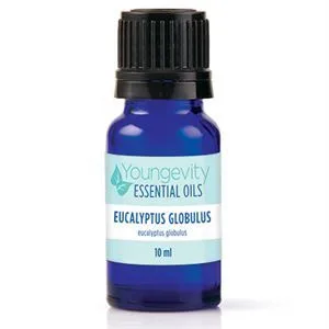 Eucalyptus Globulus Essential Oil - 10ml - Youngevity Essential Oils supplement product image.