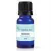 Ravensara Essential Oil - 10ml - Youngevity Essential Oils supplement product image.