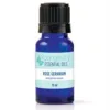Rose Geranium Essential Oil - 10ml - Youngevity Essential Oils supplement product image.