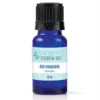 Red Mandarin Essential Oil - 10ml - Youngevity Essential Oils supplement product image.