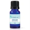Juniper Berry Essential Oil - 10ml - Youngevity Essential Oils supplement product image.