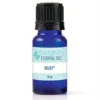 Relief Essential Oil Blend - 10ml - Youngevity Essential Oils supplement product image.
