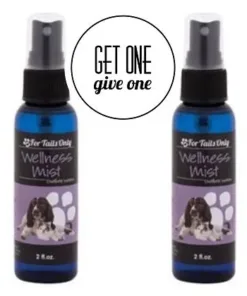 Wellness Mist [QTY: 2; Give One Get One FREE] - Youngevity Home and Family supplement product image.