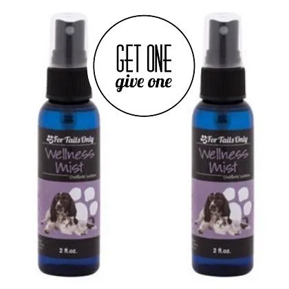 Wellness Mist [QTY: 2; Give One Get One FREE] - Youngevity Home and Family supplement product image.