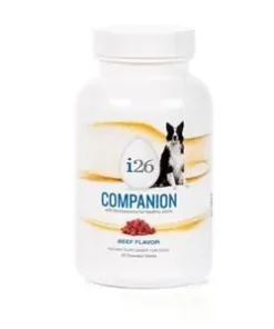 Dog Companion Chewable - Beef - Youngevity Home and Family supplement product image.