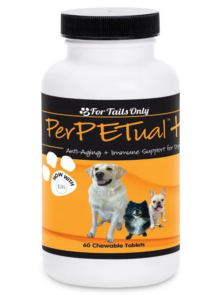 PerPETual + - Youngevity Home and Family supplement product image.