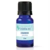 10ml bottle of Cedarwood Essential Oil
