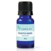 10ml bottle of Eucalyptus Radiata Essential Oil||
