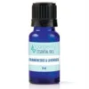 Frankincense and Lavender Essential Oil Blend - 10ml