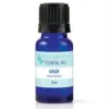 10ml Ginger Essential Oil bottle