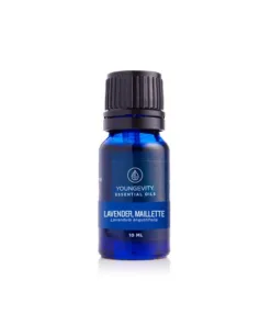 Bottle of Lavender Mailette Essential Oil - 10ml||