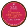 Armenian Pomegranate Mango Solid Perfume — Soul Purpose Bath & Body