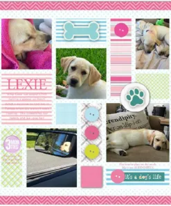 Baby Bundle by Katie Pertiet Designer Cardstock — Our Memories for Life (OMFL) Photo