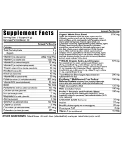 BTT 2.0 Citrus Peach Fusion — Youngevity Specials