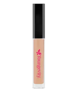Cinnamon Concealer — Youngevity Face