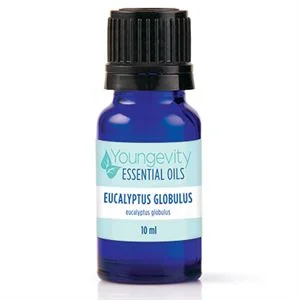 Eucalyptus Globulus Essential Oil - 10ml — Youngevity Single Oils
