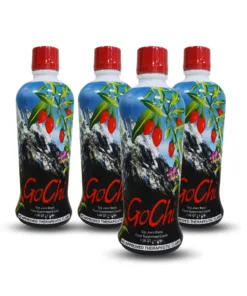 GoChi™ - 1 liter (Case of 4) — FreeLife Beverages