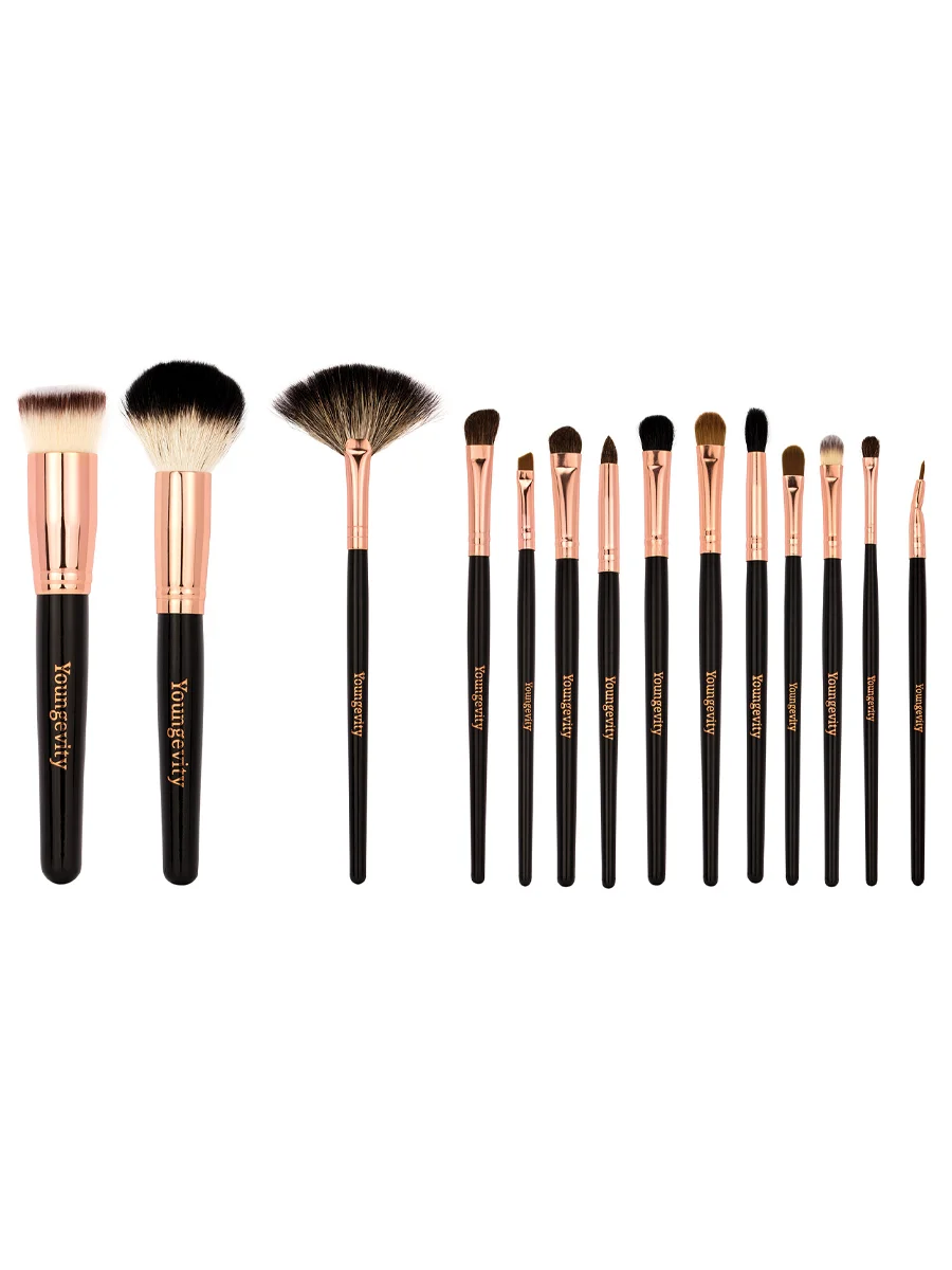 Mineral Makeup Brush Kit - Black Case — Youngevity Tools & Accessories
