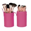 Mineral Makeup Brush Kit - Pink Case — Youngevity Tools & Accessories