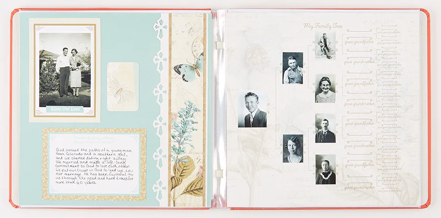 Miracles and Milestones by Katie Pertiet Designer Cardstock — Our Memories for Life (OMFL) Photo