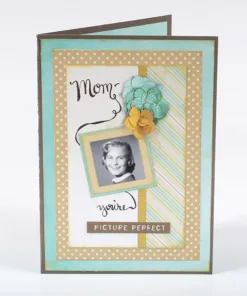 Miracles and Milestones by Katie Pertiet Designer Cardstock — Our Memories for Life (OMFL) Photo