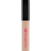 Mocha Concealer — Youngevity Face