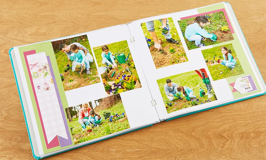 Pocket Wonder II Designer Coordinates Journal Card — Our Memories for Life (OMFL) Photo