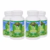 Ultimate Digest FX™ - 90 capsules (4 Pack) — Youngevity Targeted Nutrition