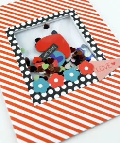 Valentine Make & Shake Card Kit — Anthology Photo