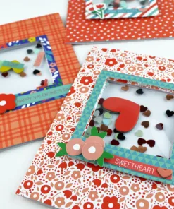 Valentine Make & Shake Card Kit — Anthology Photo