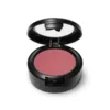 Vivid - Mineral Pressed Powder Blush — Youngevity Face