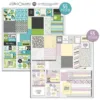 Whispering Lilac and Tropical Blooms Signature Paper — Anthology Photo